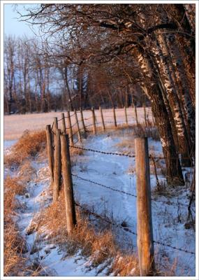 Fence at Dusk