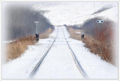 Misty Morning Tracks