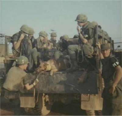 LongBinh 212th going to work.1969