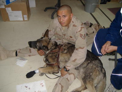 SSgt. Pablo Martinez Jr,  & Argo-F590  (Argo was wounded on a patrol - wounds unknown)