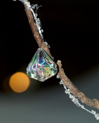 400_DSC_0013 (Photo by David Alvey).jpg