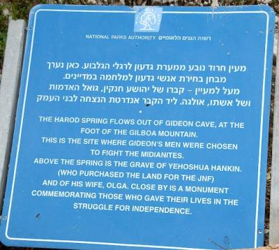 DSC_1301. Herod Spring
