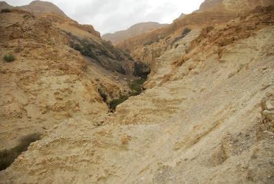 DSC_1548. En Gedi