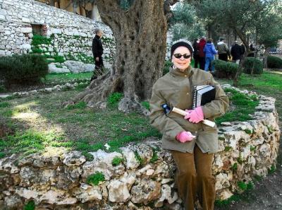 DSC_1632. Garden of Gethsemane