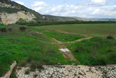 DSC_2063. Elah Valley (David v. Goliath)