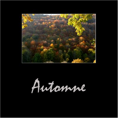 Automne / Autumn