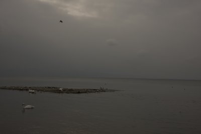 Riviera lémanique