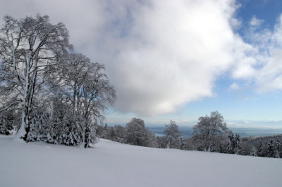 g3/23/546723/3/120652809.Y6O6eGC7.jpg