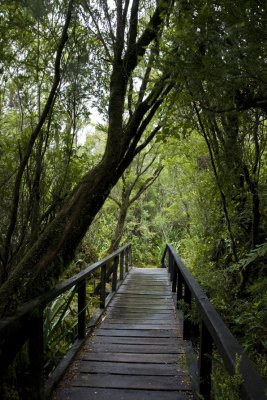 Parc National de Chiloe