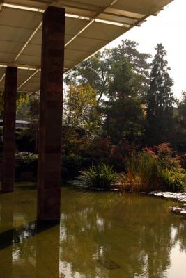 Fondation Beyeler