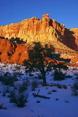 CapitolReef-0140.jpg