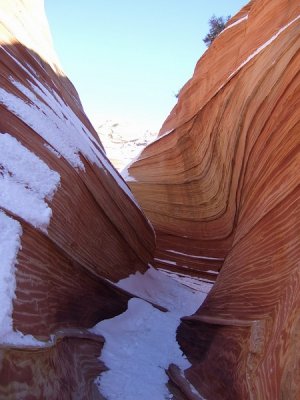 Wave-0430.jpg