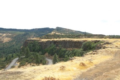 002_Rowena Crest.jpg
