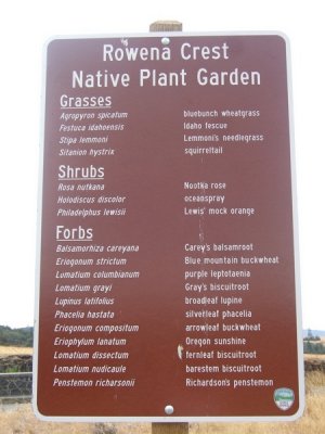 004_Rowena Crest.jpg