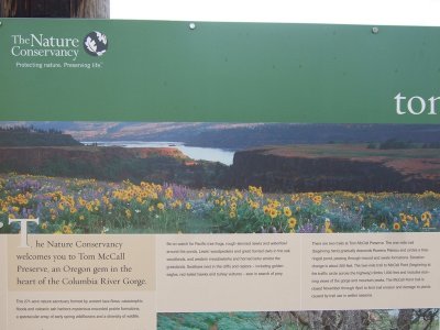 010_Rowena Crest.jpg