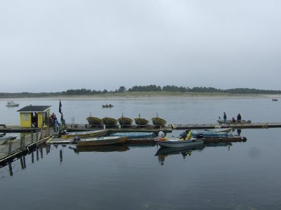 005_JettyFishery.jpg