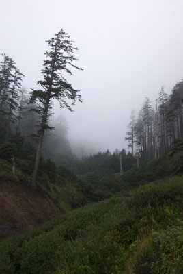 008_Somewhere off of coastal hwy.jpg