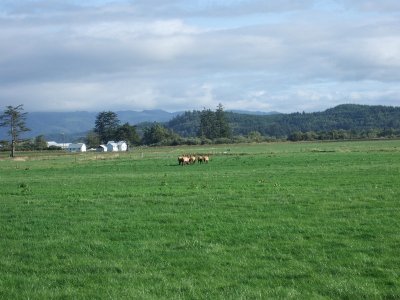 g3/23/553523/3/120969098.GwkIPIFj.jpg