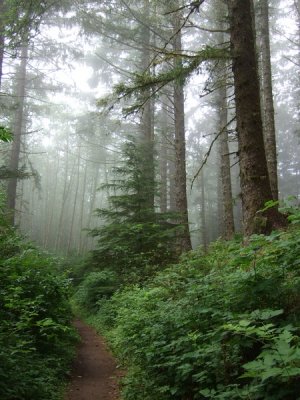 046_Cascade Head trail.jpg