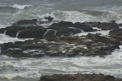 059_Yaquina Head Lighthouse Beach.jpg