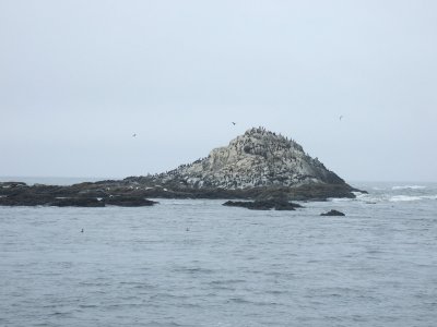065_Yaquina Head Lighthouse Beach.jpg