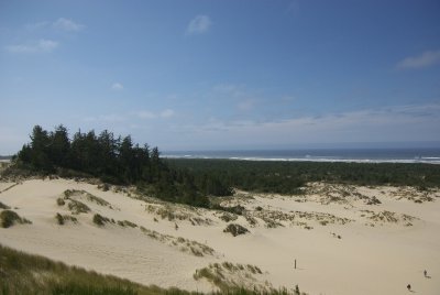 074_Oregon Dunes.jpg