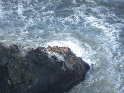 Oregon Coast