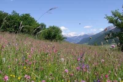 DSCF2745.jpg