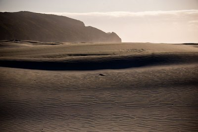 More dune views