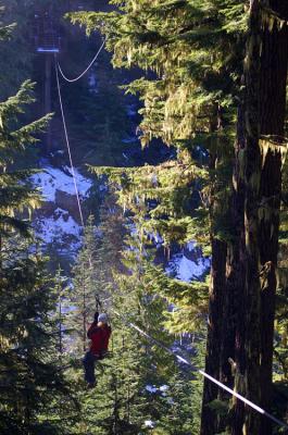 zipping through the forest across the river