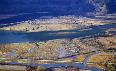 Squamish River estuary, important salmon habitat