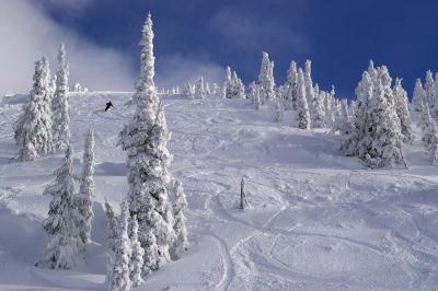 powder heaven