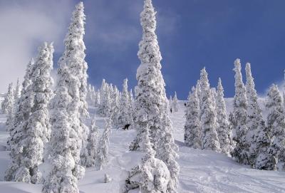 powder heaven!