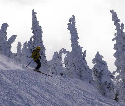 g3/23/579023/3/57804125.powderskier.jpg