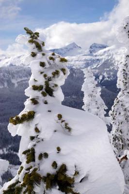 g3/23/579023/3/57804129.snowhuggingtree.jpg