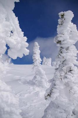 g3/23/579023/3/57804136.snowmonsters.jpg