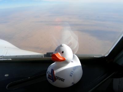 duck does afrika