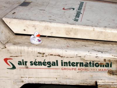 Duck does Senegal