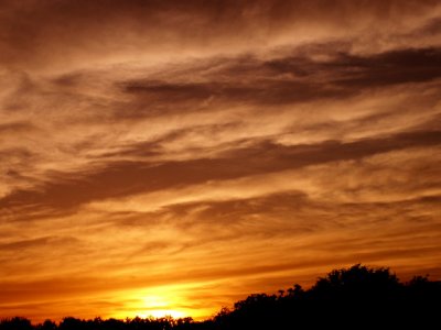 4-4--09Z6 Sunset 1.jpg