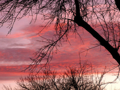 12-27-09Z6 Sunset 2.jpg