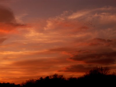 3-4-2010 Sunset 5.jpg