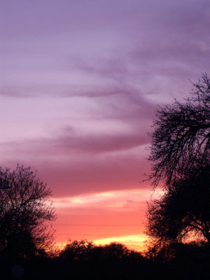 3-14-2010 Sunset 1.jpg