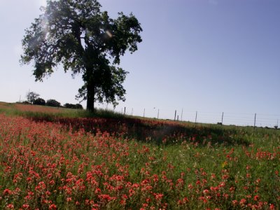 4-24-2010 Fredericksburg 1.jpg