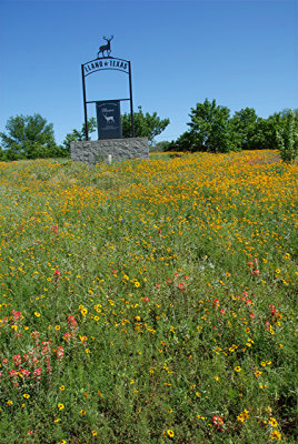 4-25-2010 Mason and Llano TX 8