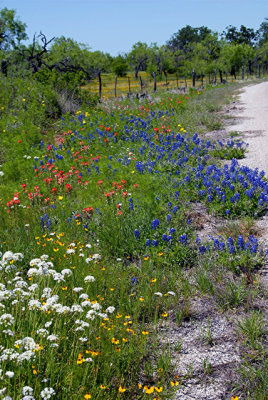 4-25-2010 Mason and Llano TX 28.jpg