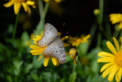 4-24-2010 Fredericksburg 33.jpg