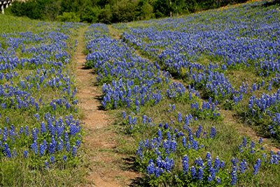 4-25-2010 Llano River 3.jpg