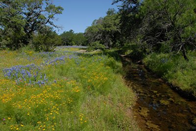 4-26-2010 Willow City Loop 78.jpg