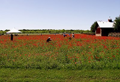 4-24-2010 Fredericksburg 40.jpg