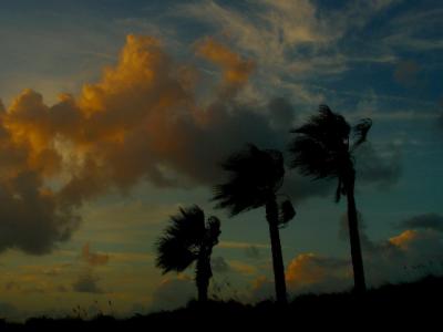 10-2005 S. Padre Island Texas.JPG